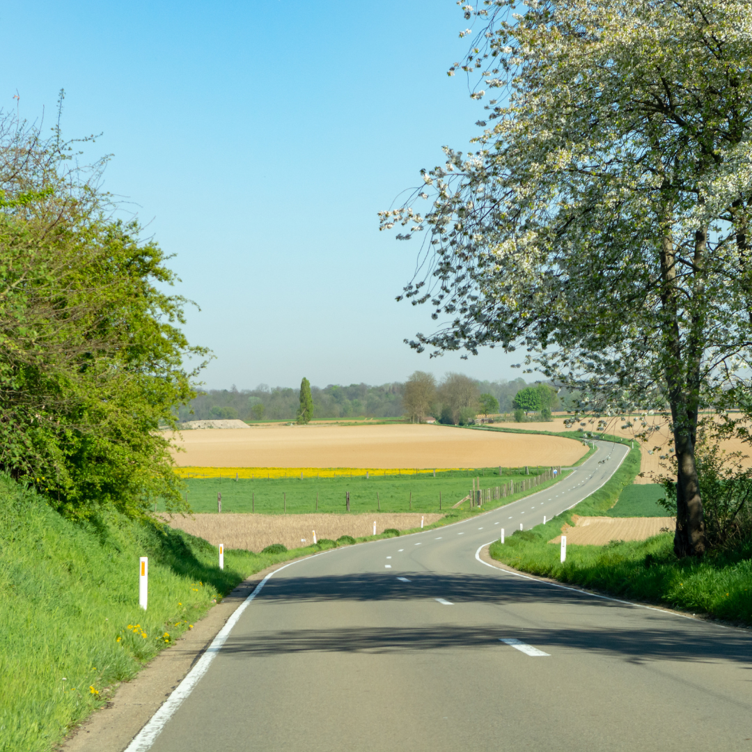 Vue de d'une route de campagne